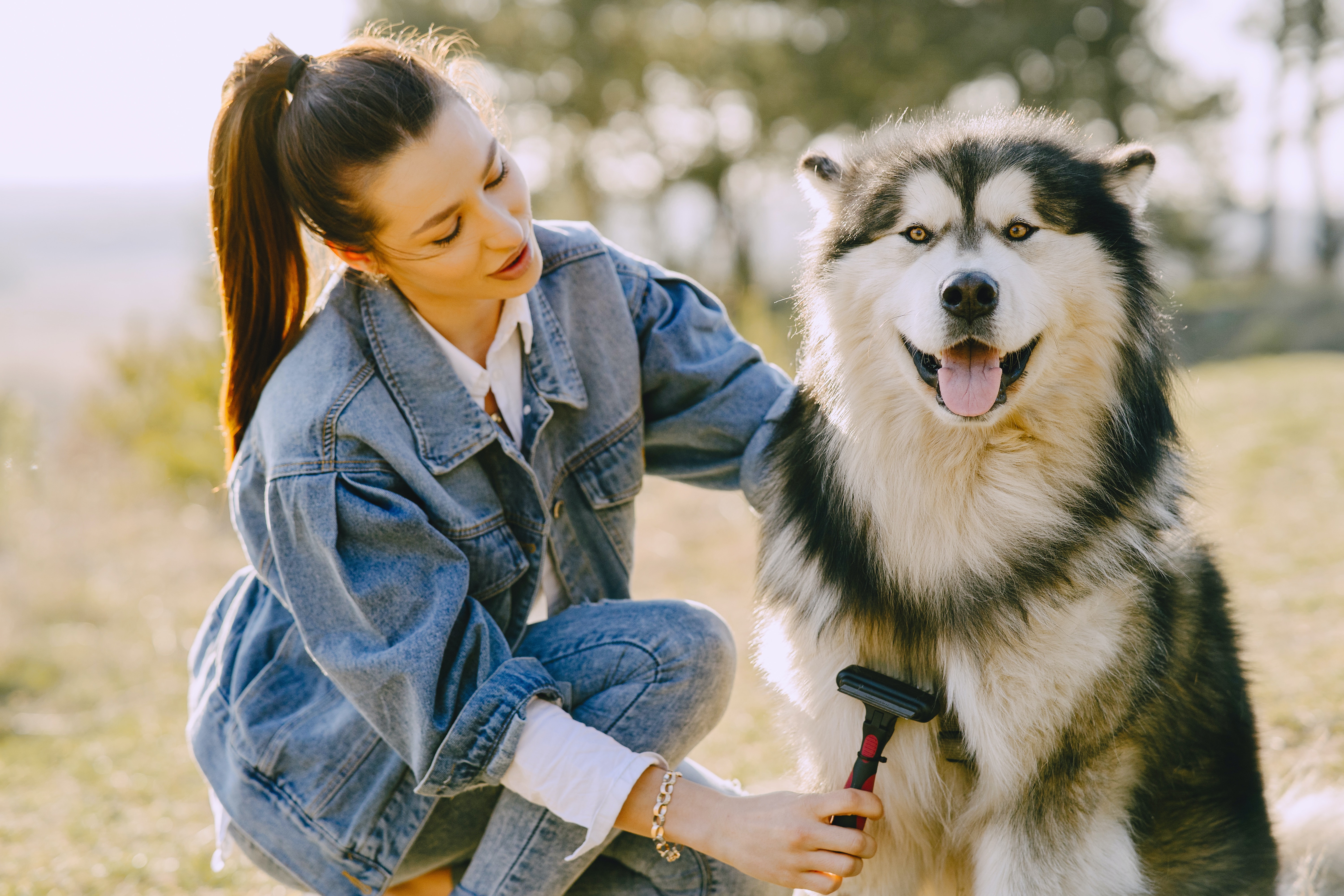 dog trainer with dog